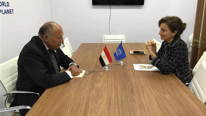 وزير الخارجية يلتقي بمدير عام منظمة اليونسكو
