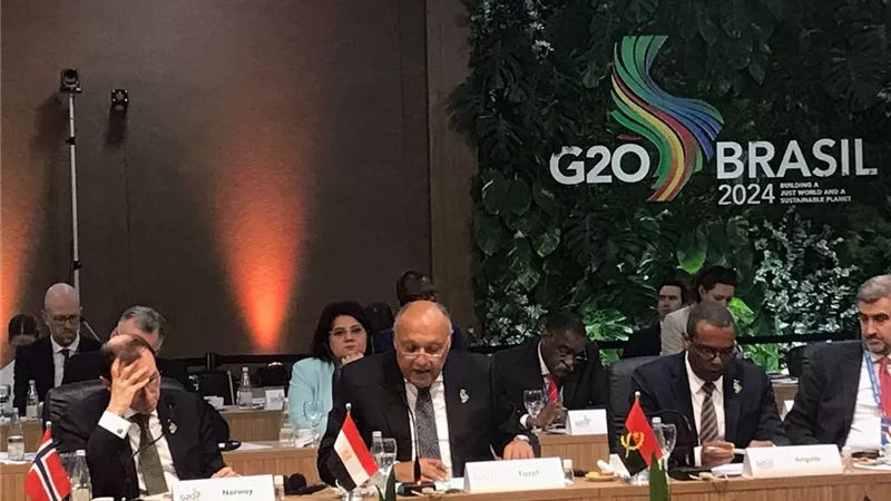 وزيرالخارجية يشيد بتعاون الدول الإفريقية في مجال التغير المناخي
