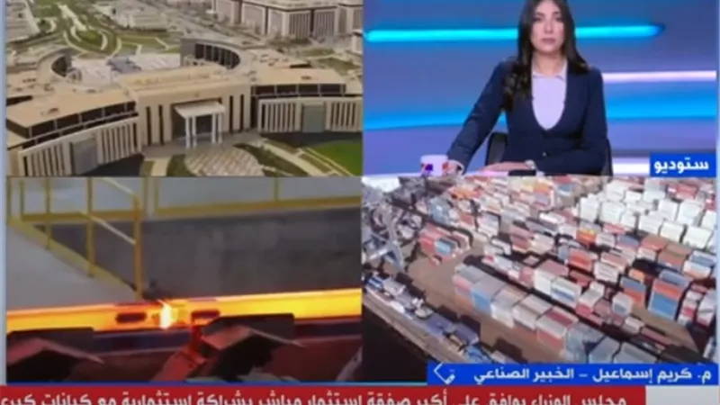 خبير صناعى: صفقة الاستثمار المباشر تتويج لجهود الدولة لتذليل عوائق الاستثمار