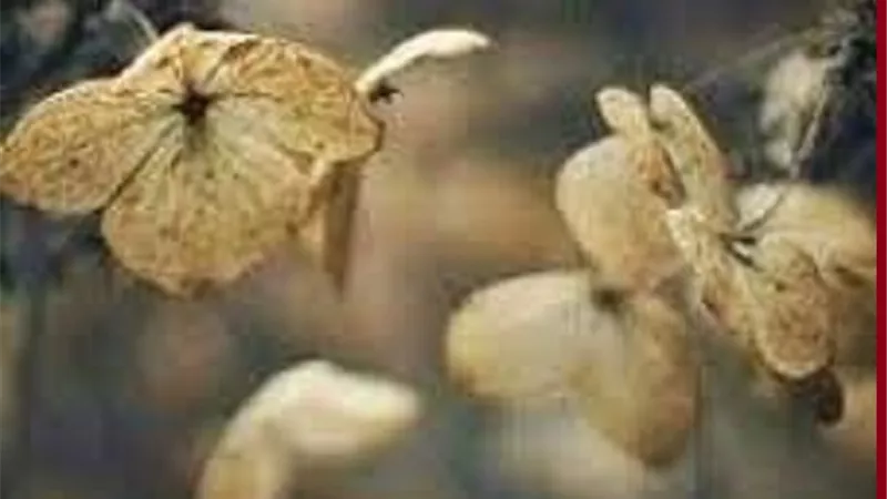 اعتقاد خاطئ يشيع بين الناس عن يوم الجمعة احذره