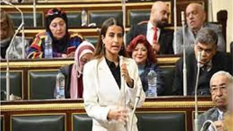 خارجية النواب تشيد بإتمام الصفقة الاستثمارية الكبرى : تحقق مستهدفات الدولة فى التنمية المستدامة