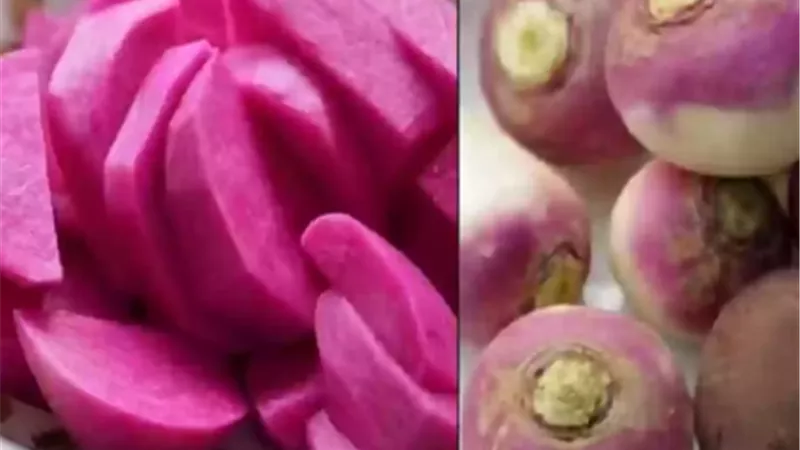 ب 4 جنيهات بس.. نوع خضار يقلل الوزن ويمنع السرطان