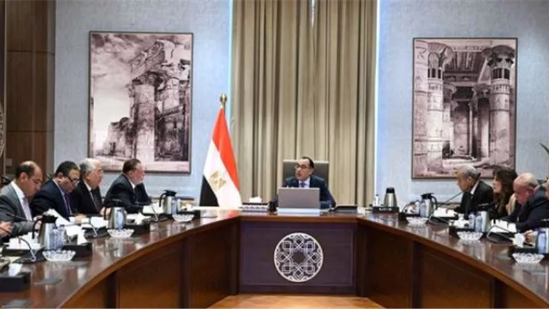 الحكومة تعلن انخفاض سعر الذرة وفول الصويا بعد استجابة التجار للأخبار الإيجابية الأخيرة