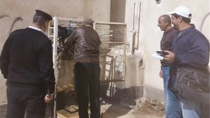 جهاز دمياط الجديدة يضبط 25 وصلة مياه خلسة وعقوبات رادعة.. بالصور