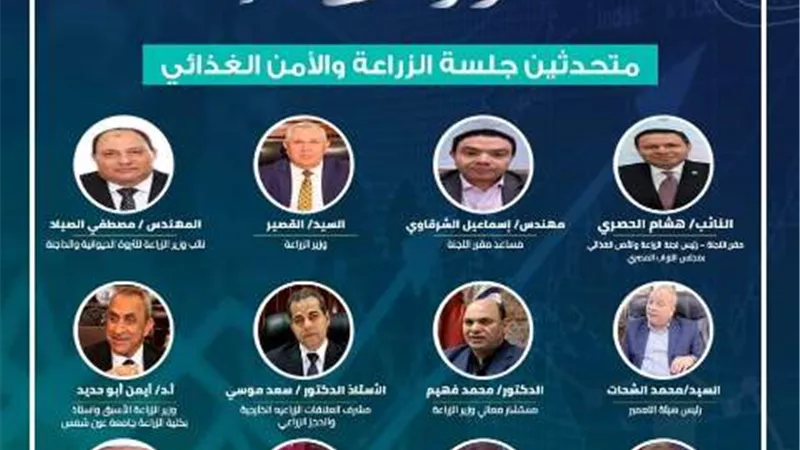 الحوار الاقتصادي بالحوار الوطني يعقد الجلسة التخصصية الثانية بعنوان 
