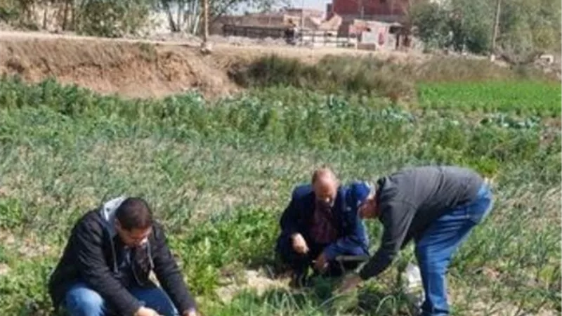 جامعة القناة توجه قافلة شاملة لقرية الظاهرية بالإسماعيلية