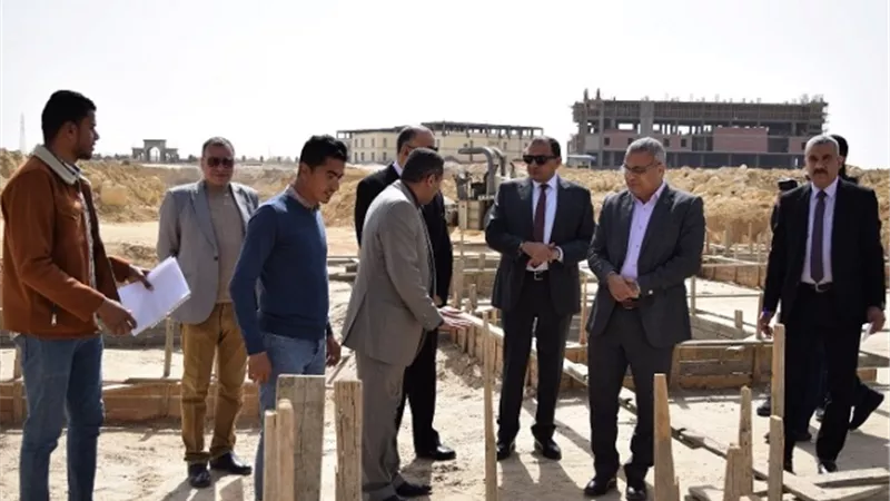منصور
