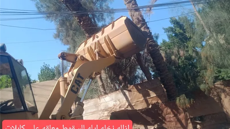 الجيزة ترفع تجمعات للمخلفات بهضبة الهرم وكرداسة ومنشاة القناطر