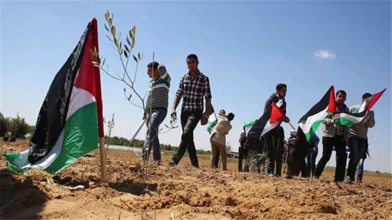 حكم إخراج الزكاة لإغاثة أهل فلسطين