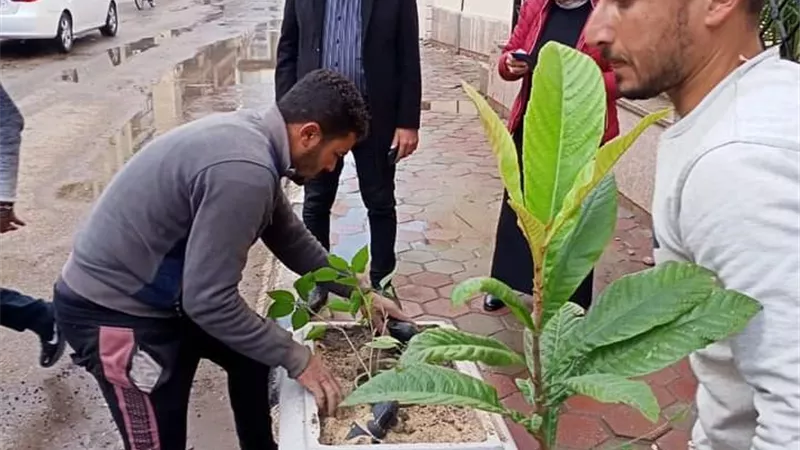 رفع 410 طن قمامة و410 طن أتربه و100 مخلفات صلبة في حملة بالدقهلية