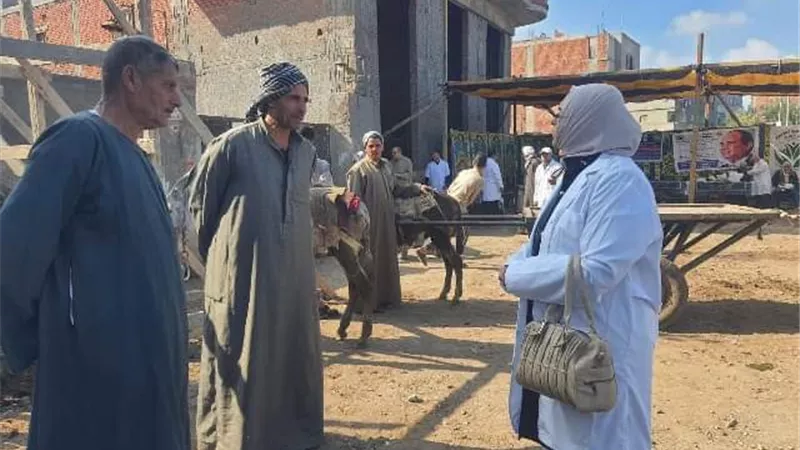 فحص وعلاج٥٠٠رأس ماشية ضد الأمراض الباطنية والتنفسية بكفرشاويش