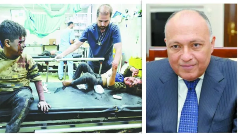 وزير الخارجية: أزمة غزة كشفت ازدواجية المعايير الدولية
