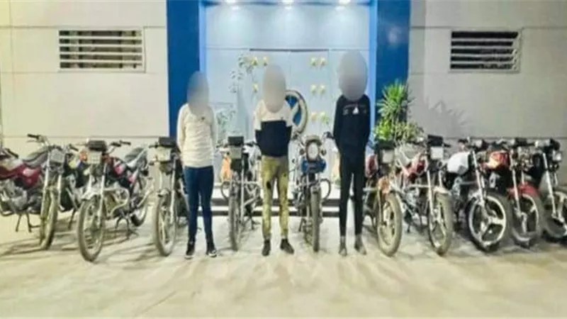الأمن العام يضبط حرامية الشوارع والشقق السكنية ب 3 محافظات