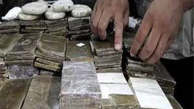 المشدد 7 سنوات لعصابة الإتجار في المخدرات بالشرقية