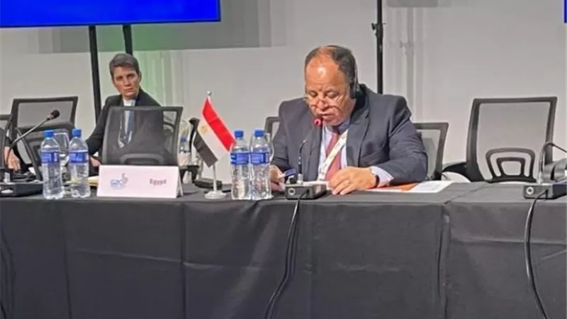 وزير المالية يتحدث بصوت أفريقيا فى اجتماعات مجموعة العشرين