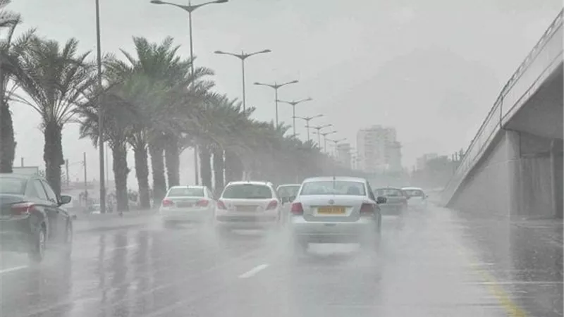 الأرصاد: غدا طقس دافئ نهارًا بارد ليلًا على أغلب الأنحاء