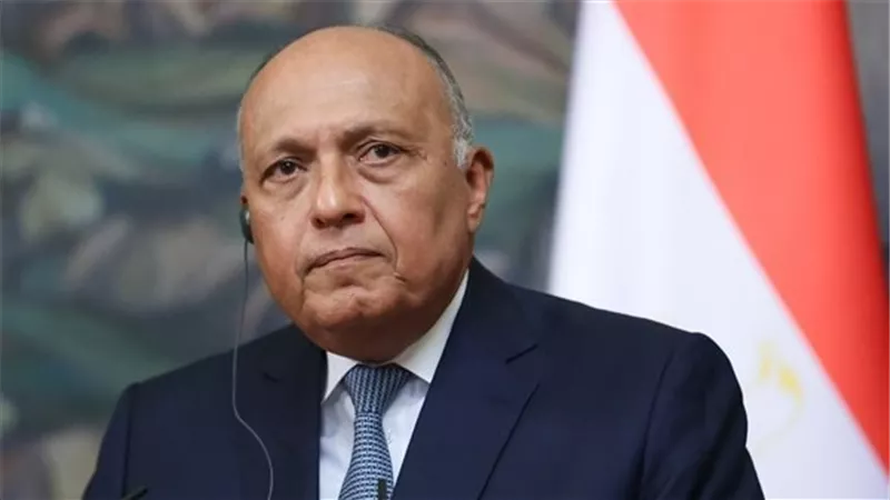 شكري يبدأ اليوم جولة خليجية تشمل قطر والرياض