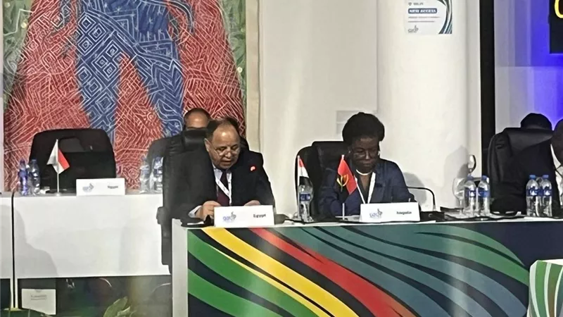 معيط: الحيز المالي للاقتصادات الناشئة لا يتحمل عبء الديون المرتفع