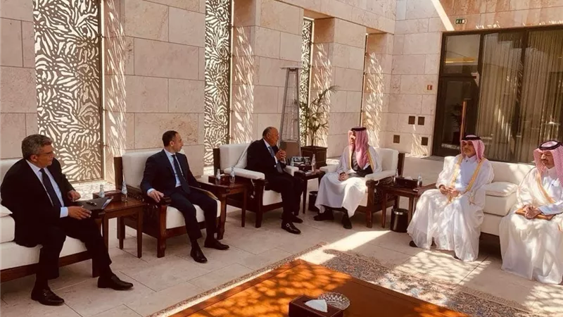 شكرى يعقد اجتماعاً مع رئيس مجلس الوزراء وزير خارجية قطر