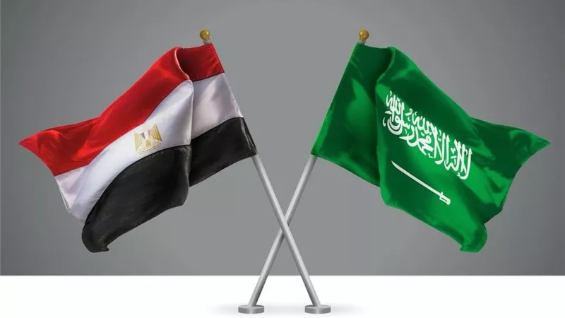 وزير التجارة يشارك فى اجتماعات الدورة الـ18 للجنة المصرية السعودية المشتركة