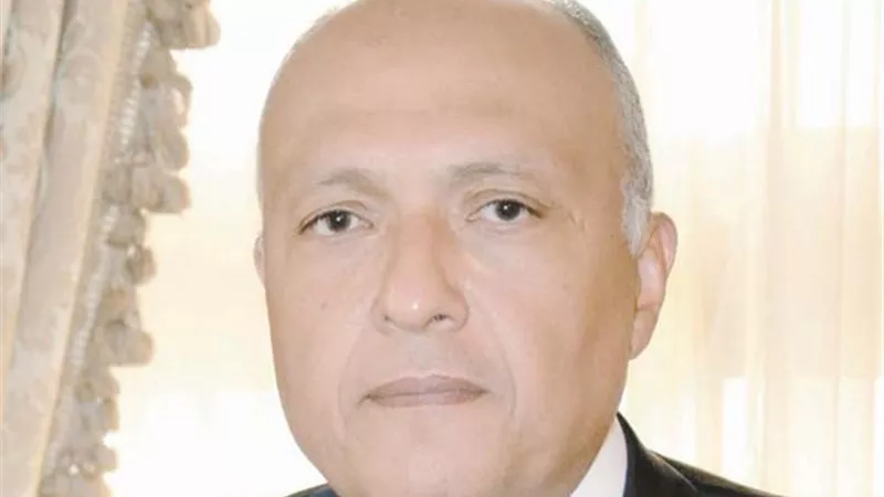 وزير الخارجية يبدأ جولة خليجية تشمل قطر والرياض