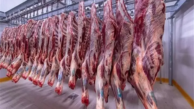 بشرى سارة من الحكومة بشأن انخفاض أسعار اللحوم خلال الفترة المقبلة