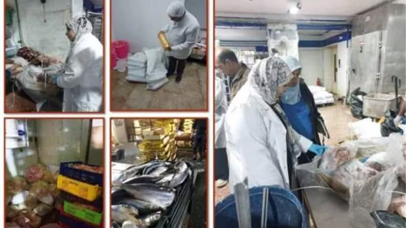 تحصين 158 ألف رأسا من الثروة الحيوانية ببنى سويف
