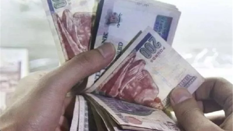 ضبط شخصين غسلا 40 مليون جنيه من تجارة العملة