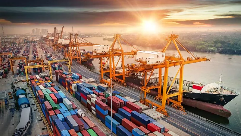 متحدث الحكومة يكشف تفاصيل الإفراجات الجمركية عن السلع والبضائع