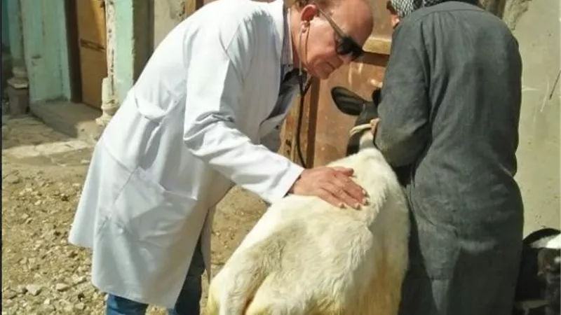 جامعةالزقازيق توجه قافلة بيطرية لقرية الجزيرة