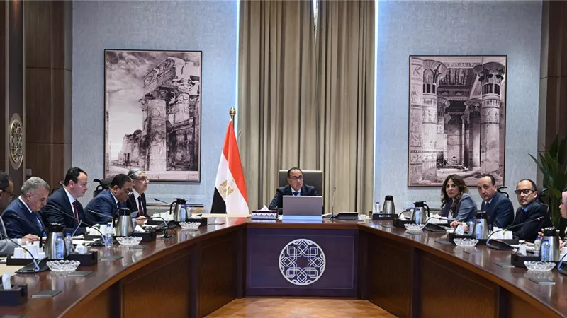 رئيس الوزراء يلتقى وزير الكهرباء لبحث زيادة نسبة الطاقة المتجددة