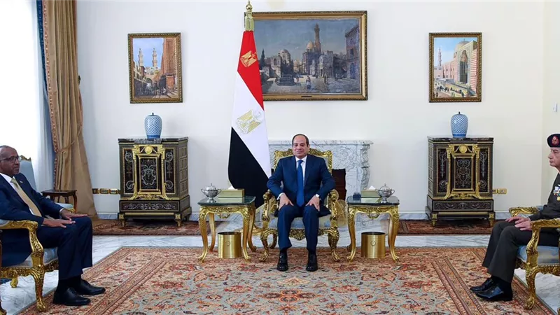 السيسي يبحث مع وزير دفاع كينيا تعزيز التعاون في المجالات العسكرية والأمنية