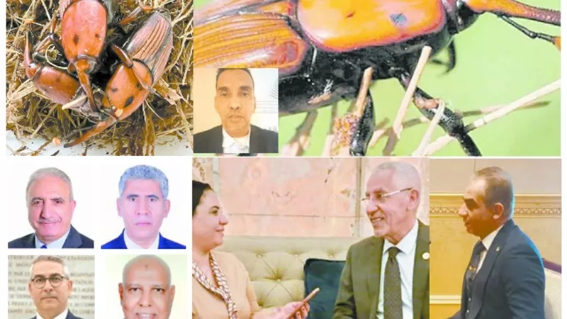 انتفاضة عربية 