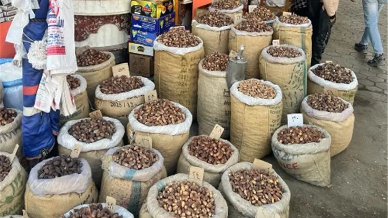 صحة القليوبية تُحرر 14 محضر جنحة لمنشآت غذائية