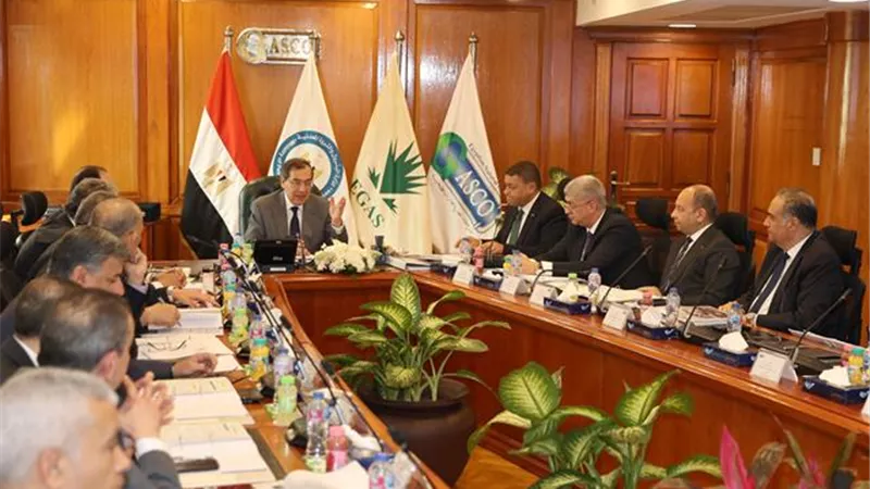 الملا:تنفيذ استراتيجية البترول لتعزيز دور مصر كمركز إقليمي للطاقة