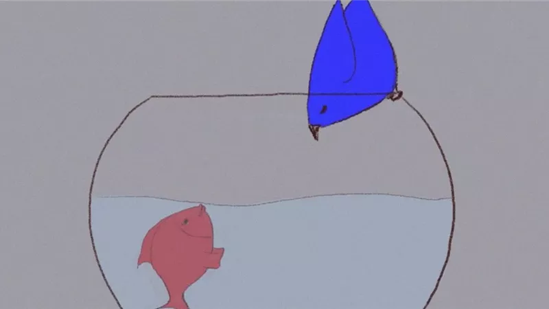 السبت.. مشروعات تخرج المعهد العالي للسينما وورش رسم بنادي سينما الطفل