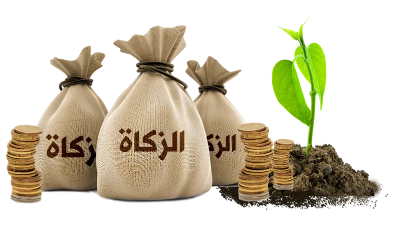 حكم الزكاة للسجناء الفقراء المفرج عنهم