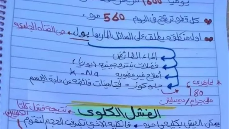 ملخص درس الاخراج في الاحياء لـ الصف الأول الثانوي في 4 ورقات