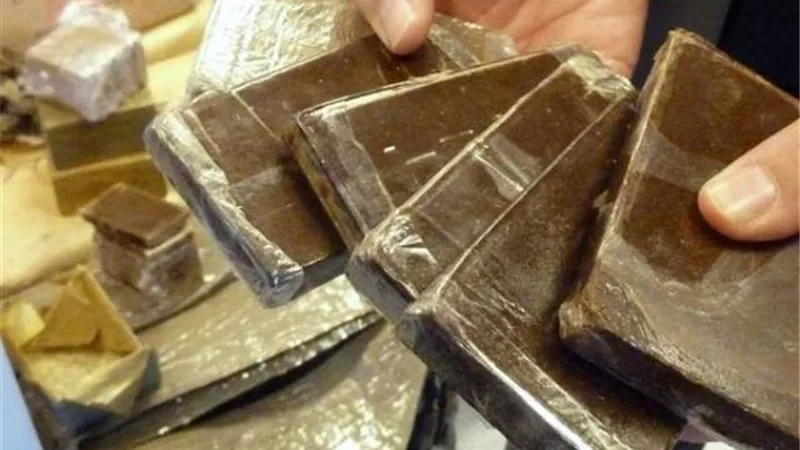 عصابة الأربعة غسلت 100 مليون جنيه من تجارة المخدرات بشمال سيناء
