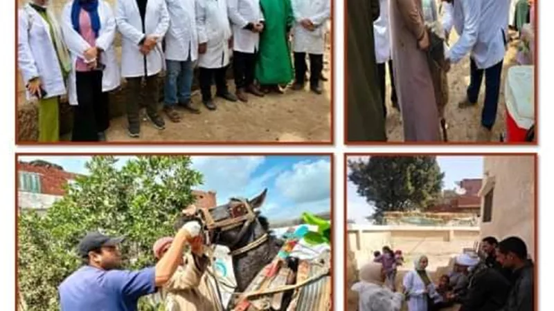 قافلة طبية علاجية بيطرية مجانية بقرية أبوعمران