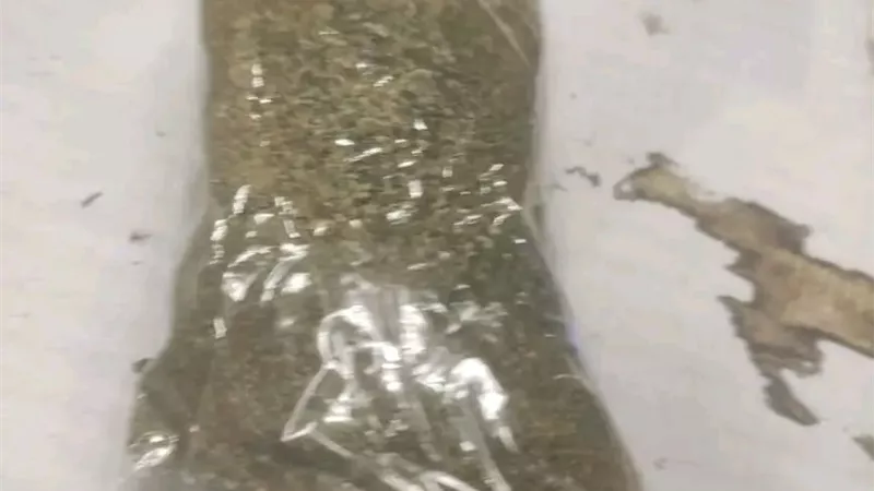 جمارك مطار الغردقة الدولي تضبط 3 محاولات تهريب لكمية من مخدرى