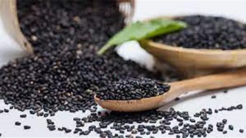 أبرزها العقم والسكري .. أمراض تعالجها حبة البركة