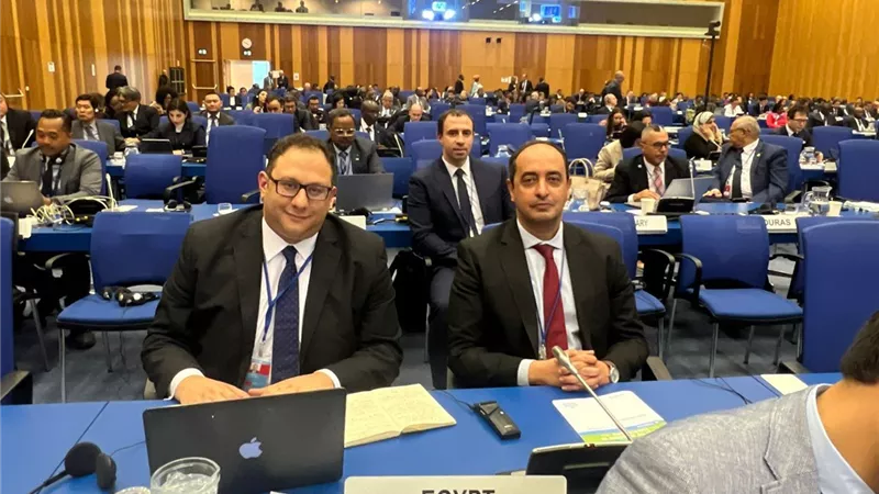 مدير 