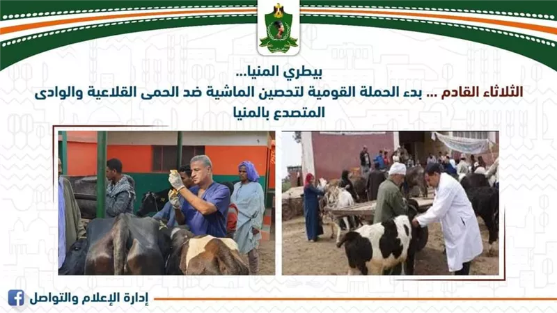 بعد غداً بدء الحملة القومية لتحصين الماشية ضد الحمى القلاعية