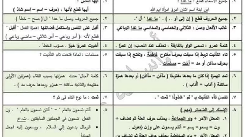 لطلاب الثانوية العامة.. 100معلومة نحوية مهمة في 13 ورقة فقط