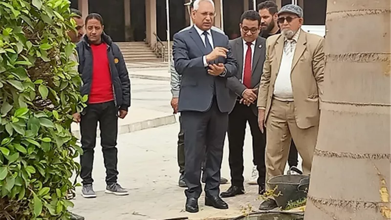 جامعة المنيا تزرع 14ألف من الأشجار والنخيل ونباتات الزينة