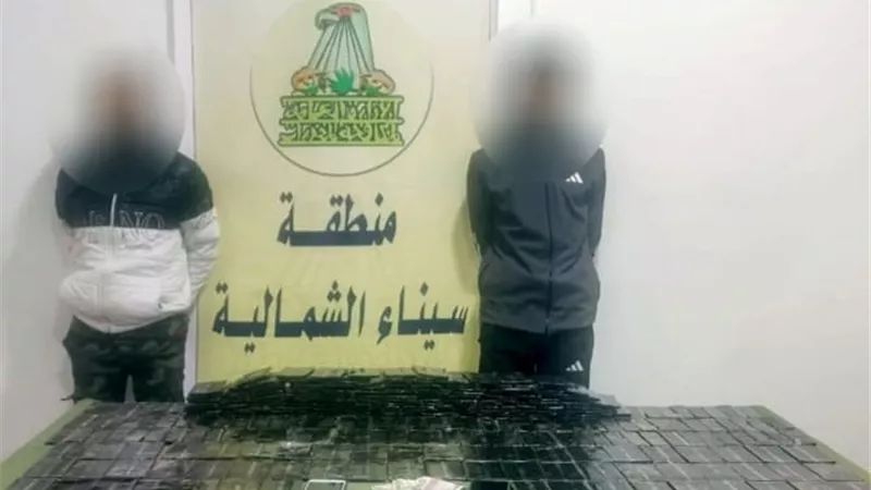 القبض على 3 عناصر إجرامية بالإسكندرية وشمال سيناء