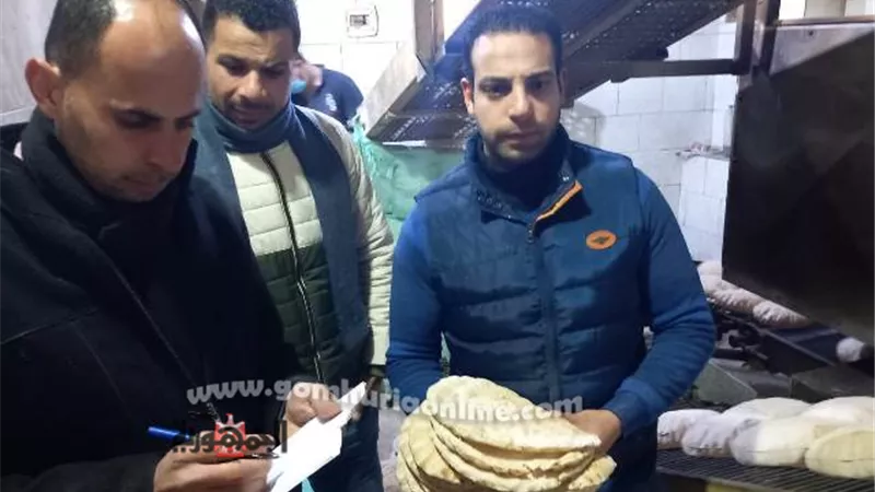 90 محضرًا تموينيا لمحلات بالبحيرة.. وضبط ١٠ مخابز بلدية