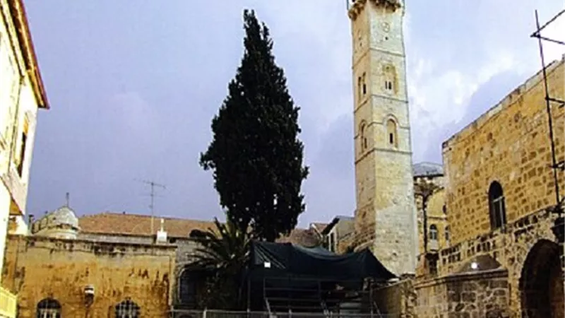 لم يتغير تخطيطه الى الان مسجد الخليفة الراشدى عمر بن الخطاب