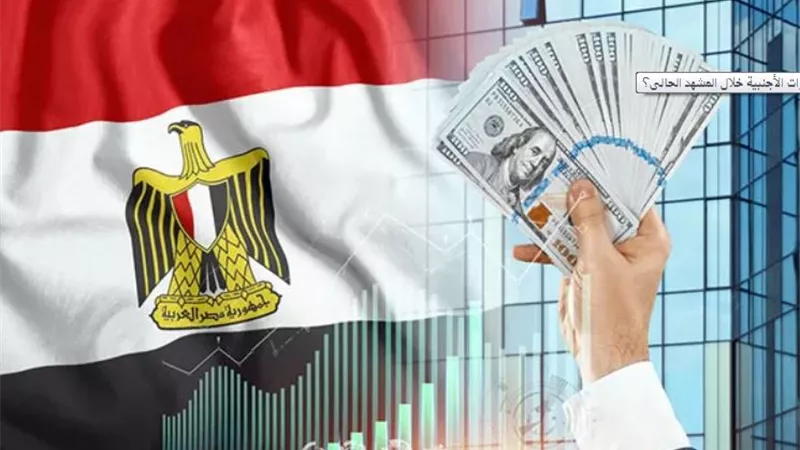 اقتصادي: الدولة استطاعت تغطية الفجوة التمويلية بتدبير عشرات المليارات